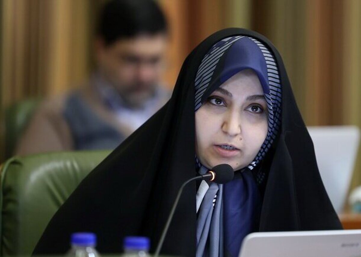 انتقاد رئیس کمیسیون نظارت شورا از سند بلندمرتبه‌سازی؛ گسل‌ها و قنوات نادیده گرفته شده‌اند