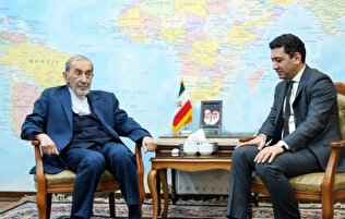 دیدار سفیر ارمنستان با مشاور رهبر انقلاب در امور بین‌الملل