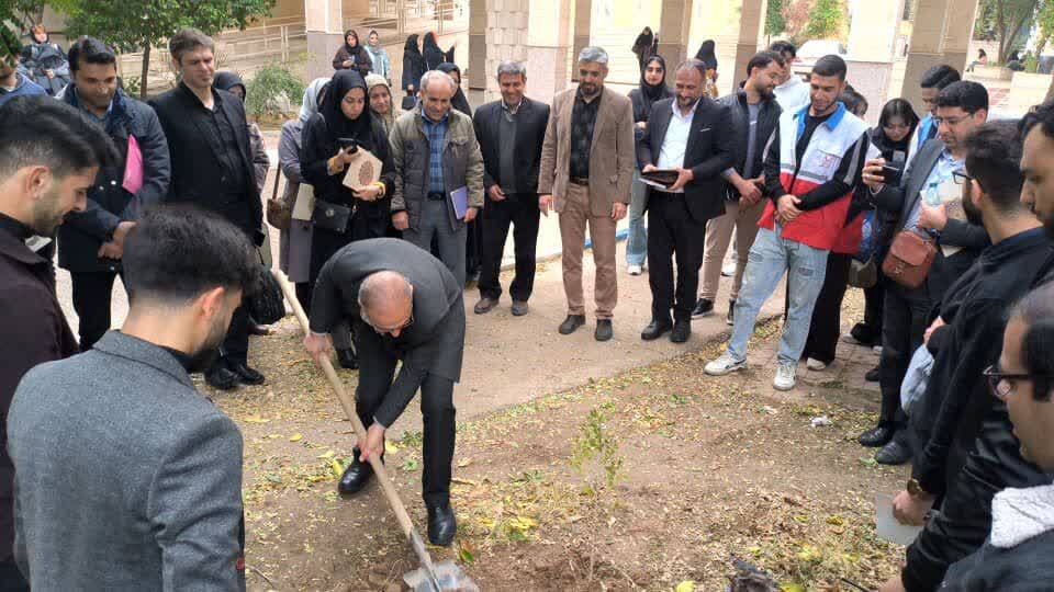 تاثیر تغییر کاربری باغها و مزارع در دزفول تاثیر تغییر کاربری باغها و مزارع در دزفول