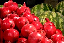 میوه شب یلدا با قیمت متعادل در فروشگاه‌های روستابازار عرضه می‌شود
