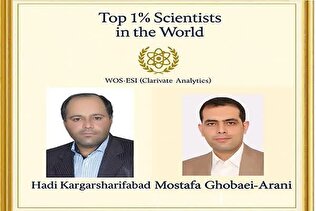 استاد کامپیوتر دانشگاه آزاد قم پراستنادترین دانشمند ایران شد؛ دانشیار گروه مکانیک در جمع پراستنادترین پژوهشگران