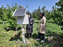 سامانه هوشمند پیش‌آگاهی آفات رونمایی شد/ گذر از رویکرد حدسی به تصمیم‌گیری داده‌محور