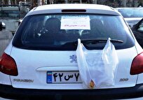 اعمال-قانون-بیش-از-۱۷۷-هزار-فقره-تخلف-پلاک-در-پاییز-۱۴۰۴