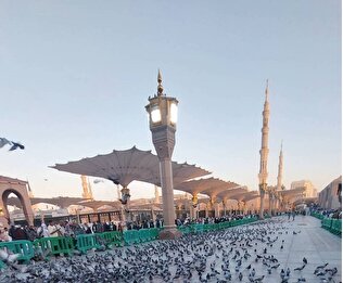 دانشجوی دانشگاه تهران: زیارت مکه و مدینه نقطه عطفی در ایمان و زندگی‌ام بود