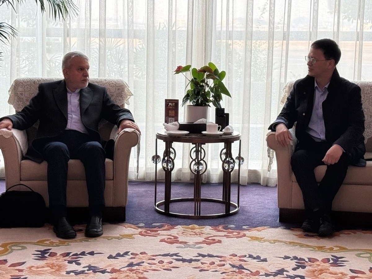 ورود صالحی‌امیری به چین برای حضور در دومین مجمع عمومی اتحادیه میراث‌فرهنگی آسیا  آغاز ماموریت فرهنگی ایران در چونگ‌چینگ