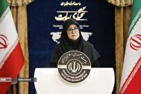 تأکید سخنگوی دولت بر ضرورت سامان‌دهی مصرف سوخت و تخصیص عواید نرخ سوم بنزین به معیشت مردم