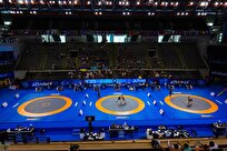 معافیت داوران بین المللی کشتی ایران از کنترل داوری در سال 2025 میلادی