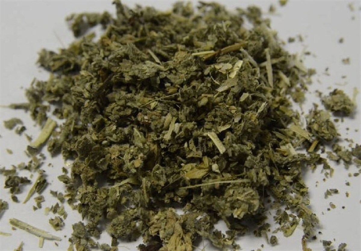 هشدار یک روان‌پزشک درباره عوارض شدید «گل» در ایران