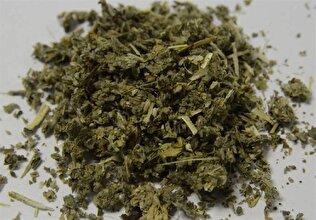 هشدار یک روان‌پزشک درباره عوارض شدید «گل» در ایران