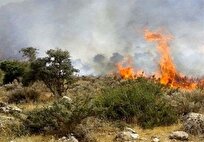 تیم‌های-عملیاتی-برای-مهار-آتش-هیرکانی-پا-پس-نکشیدند-چرا-آتش-دوباره-سر-برآورد