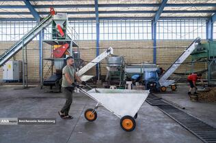 تولید برای محرومیت زدایی - باغ پسته