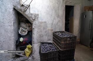 خُرو؛ پایتخت آلوی ایران