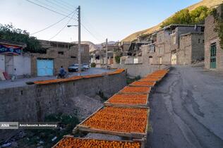 خُرو؛ پایتخت آلوی ایران