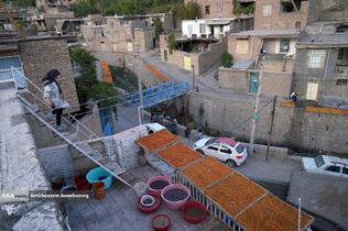 خُرو؛ پایتخت آلوی ایران