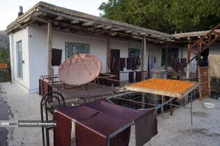 خُرو؛ پایتخت آلوی ایران