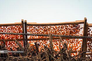 خُرو؛ پایتخت آلوی ایران