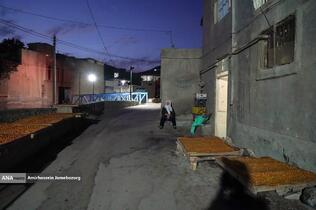 خُرو؛ پایتخت آلوی ایران