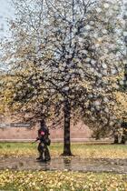 دیوارهای کرملین روسیه