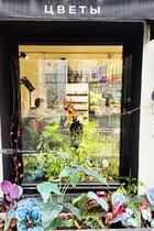 شهر مسکو روسیه