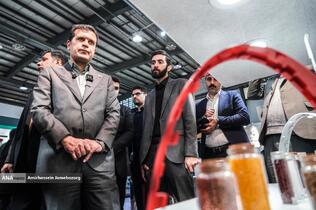 بازدید حسین افشین معاون علمی، فناوری و اقتصاد دانش بنیان رئیس جمهور از شانزدهمین نمایشگاه فناوری نانو