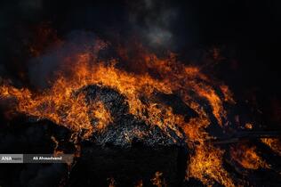 امحای ۲۰ تن مواد مخدر در تهران