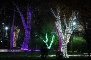 جشنواره نور در یلدای ایرانی