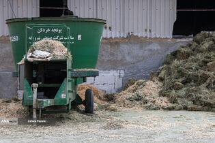 خودکفایی در تولید شیر