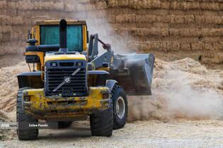 خودکفایی در تولید شیر