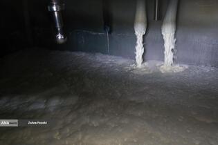 خودکفایی در تولید شیر