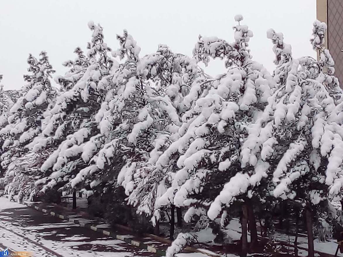 دانشگاه آزاد اسلامی واحد قم در یک روز برفی