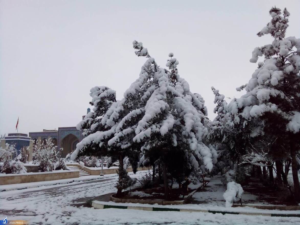 دانشگاه آزاد اسلامی واحد قم در یک روز برفی