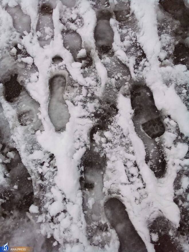 دانشگاه آزاد اسلامی واحد قم در یک روز برفی