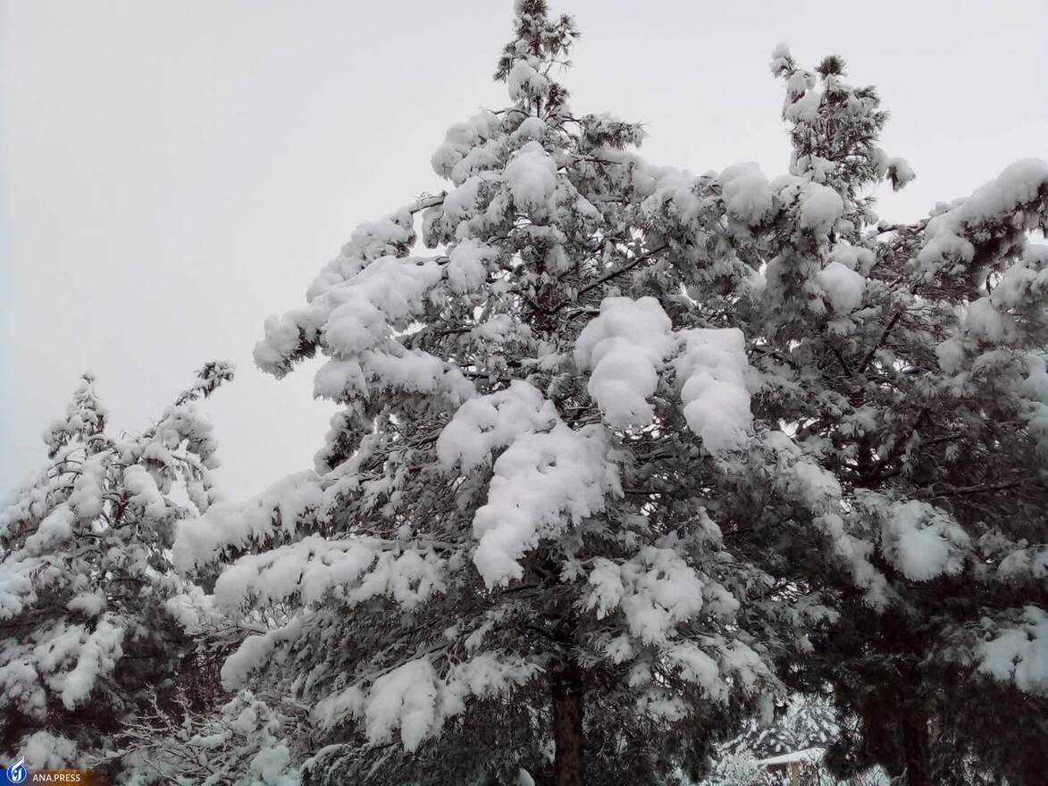 دانشگاه آزاد اسلامی واحد قم در یک روز برفی