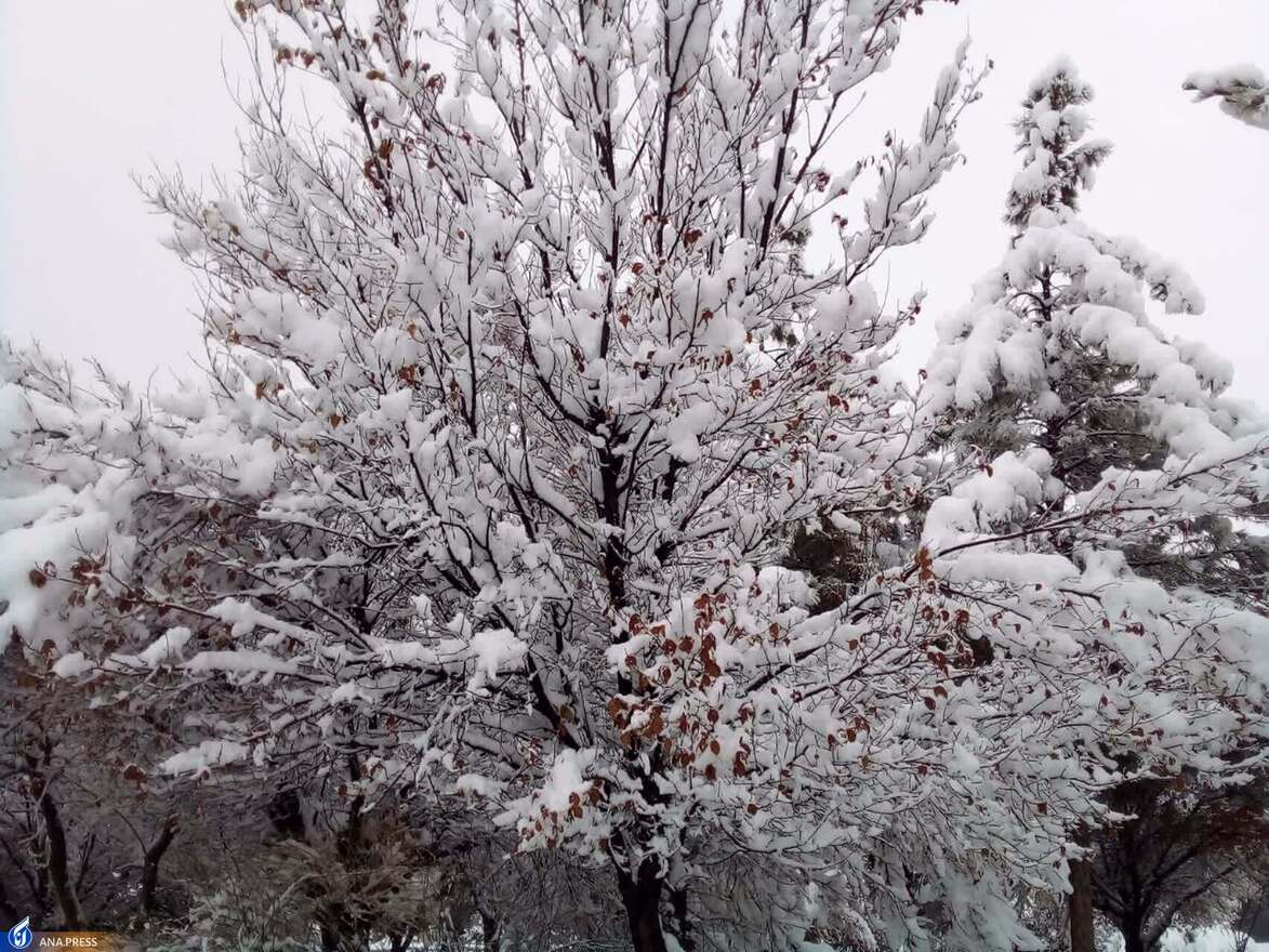 دانشگاه آزاد اسلامی واحد قم در یک روز برفی