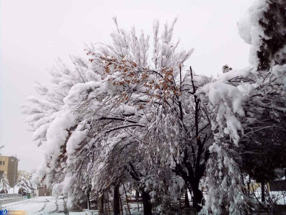 دانشگاه آزاد اسلامی واحد قم در یک روز برفی