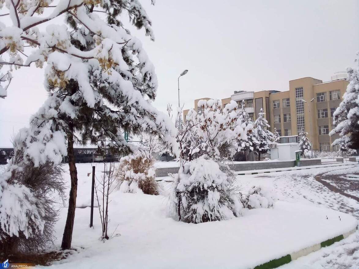 دانشگاه آزاد اسلامی واحد قم در یک روز برفی