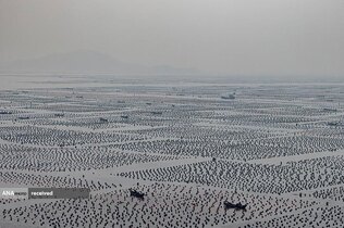 ماهیگیران چینی حین صید ماهی در نزدیکی آب‌های جزایر ماتسو، تایوان 