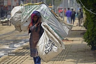 زباله‌گردی در سرینگر ، کشمیر هند