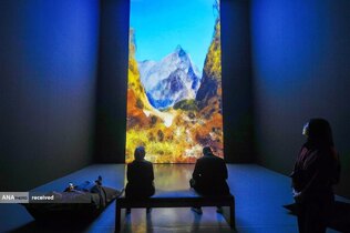 بازدیدکنندگان نمایشگاه رویاهای طبیعت - مناظر مولد در موزه هنر در دوسلدورف، آلمان