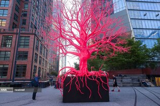 بازدید مردم از «درخت قدیمی» اثر هنرمند سوئیسی پاملا روزنکرانز، نیویورک 