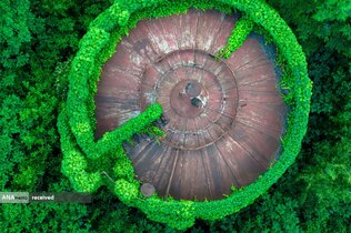 نمایی هوایی از مخازن نفت رها شده در میان گیاهان در استان جیانگ‌سو، چین