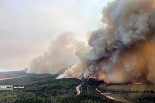 آتش سوزی جنگل‌ها در آلبرتا، کانادا