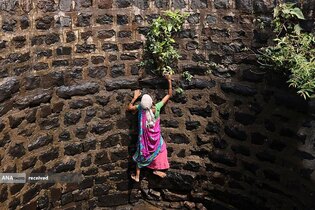 تلاش یک زن هندی برای بالا رفتن از چاه پس یافتن وسائلش که داخل آن افتاده بود، بمبئی هند