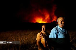 آتش‌سوزی در جنگل‌های پرتقال