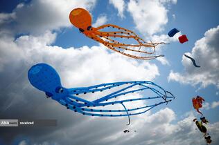 هفتمین جشنواره بین المللی بادبادک برک سورمر، فرانسه