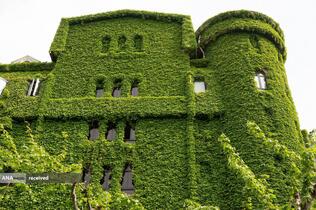 نمای بیرونی یک ساختمان پوشیده از پیچک بوستون در شانگهای، چین