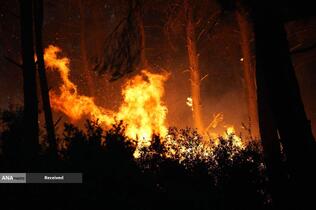 آتش سوزی در جنگل های ازمیر، ترکیه