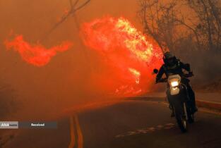 آتش سوزی در جنگل های کیتو، اکوادور