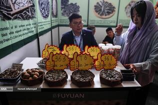 سی و دومین نمایشگاه بین المللی صنایع کشاورزی،مواد غذایی،ماشین آلات و صنایع وابسته 