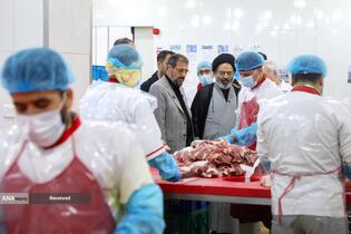 بازدید حجت الاسلام سید عبدالفتاح نواب سرپرست حجاج ایرانی از روند خدمت رسانی به زائران حج